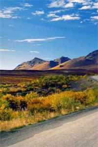 末世里减肥真轻松江枫愁眠