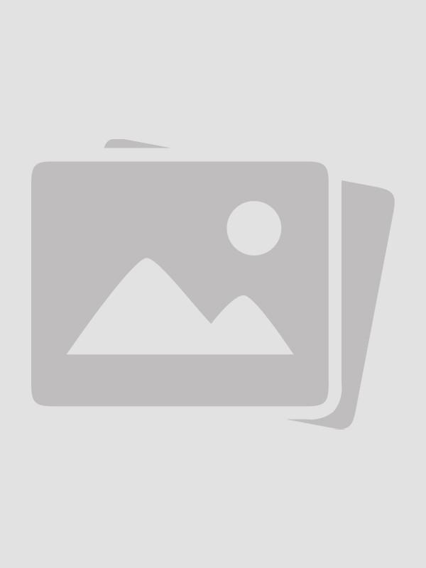 丈夫的蜜月代价