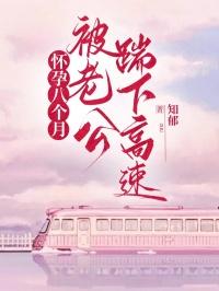 怀孕八个月被老公踹下高速