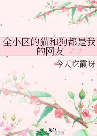 女主掉马日常穿书舒沁橙